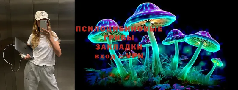 Псилоцибиновые грибы Magic Shrooms  Новое Девяткино 